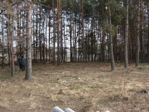 ᐉ Будинок з сіп панелей. Проект "BARNHOUSE Hawk"